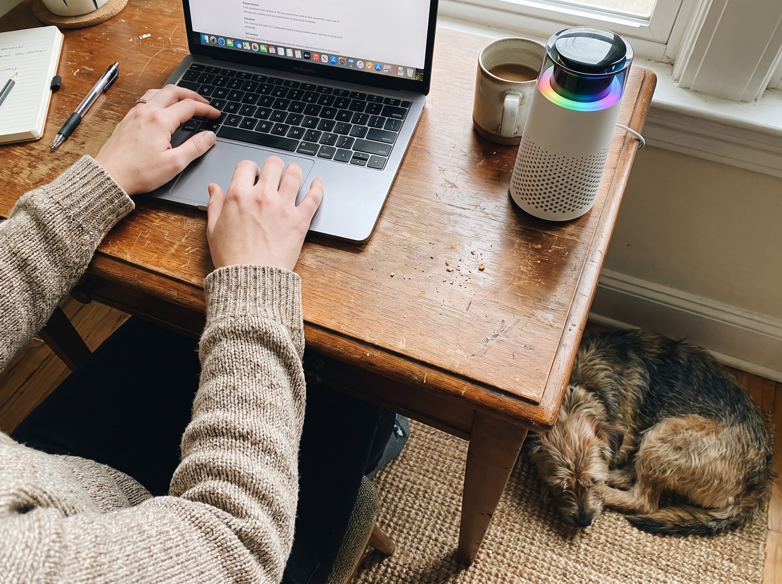 Looking down at a wooden desk: hands on a laptop, the Puppy Kind purifier at the back corner, and a terrier mix asleep on a mat under the desk.