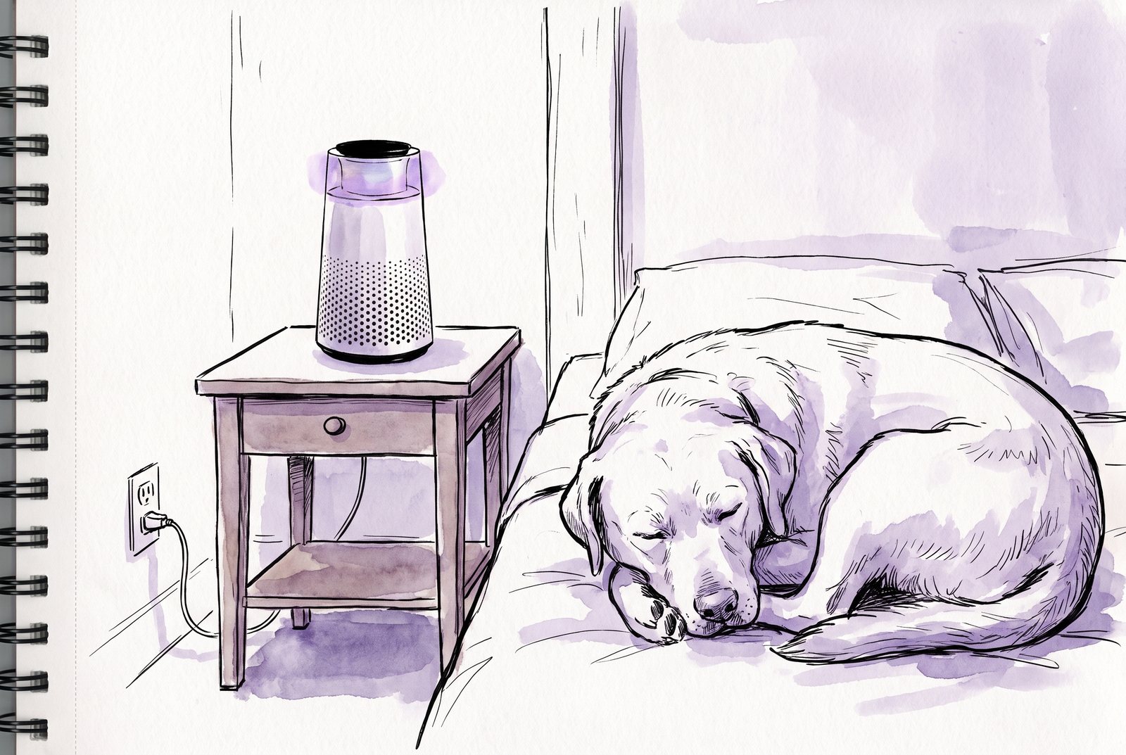 Ink and lavender sketch of the purifier on a nightstand with its cord running down to an outlet and a labrador asleep beside the bed.