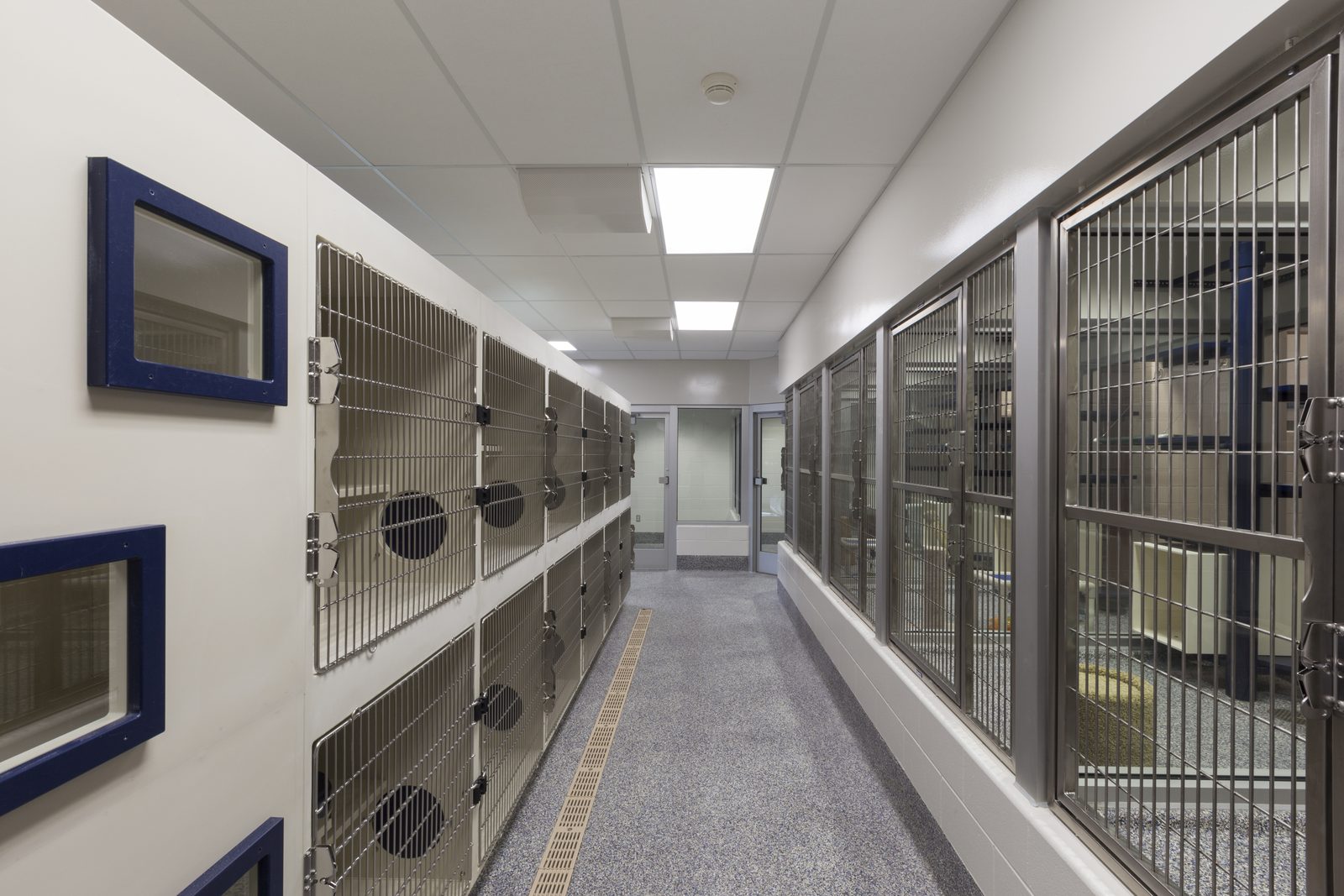 Empty indoor animal housing corridor lined with rows of stainless steel kennel doors under bright ceiling lights