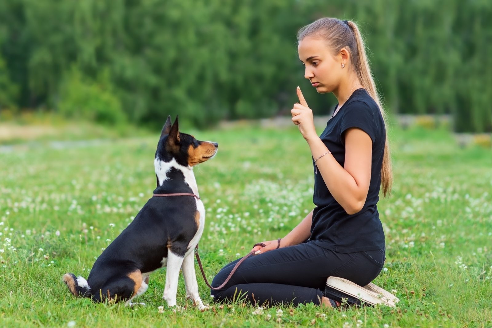 A woman kneels on a grassy park lawn with one finger raised while a leashed Basenji sits facing her and watches her face